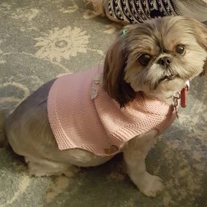 Meet your Posher, Penny